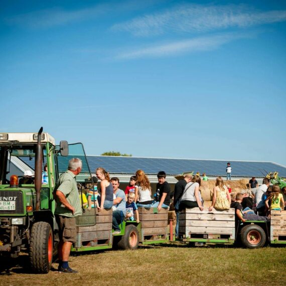 Auf dem apfelfest zieht ein Traktor mehrer Holzanhänger in denen Kinder und Erwachsene eine Rundfahrt über die Felder machen