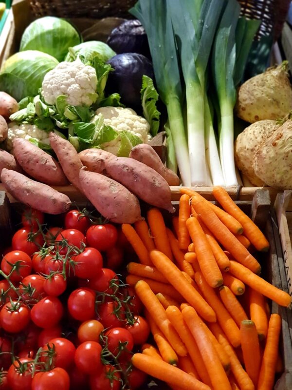 Korb mit Gemüse wie Blumenkohl, Möhren, Süsskartoffeln, Tomaten, Porree, Sellerie und Kohl